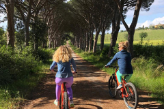 Escursione_ebike_99curve