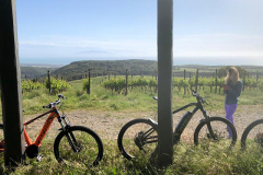 Escursione_ebike_vigne